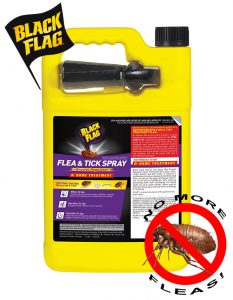 Black Flag Flea & Tick Killer - Easy in use for indoor/outdoor