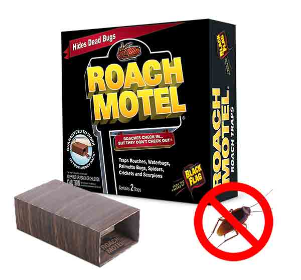 Best Roach Bomb (September 2024) Buyer’s Guide and Reviews