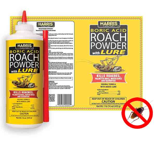 Best Roach Bomb (September 2024) Buyer’s Guide and Reviews