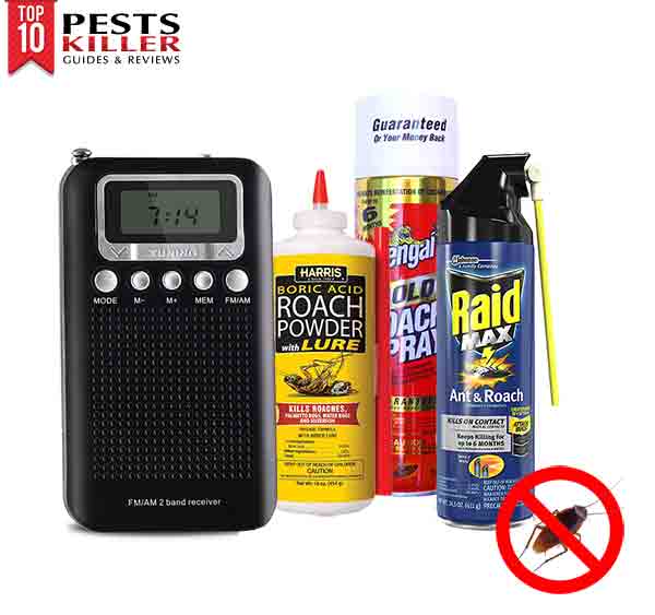 Best Roach Bomb (May 2024) Buyer’s Guide and Reviews