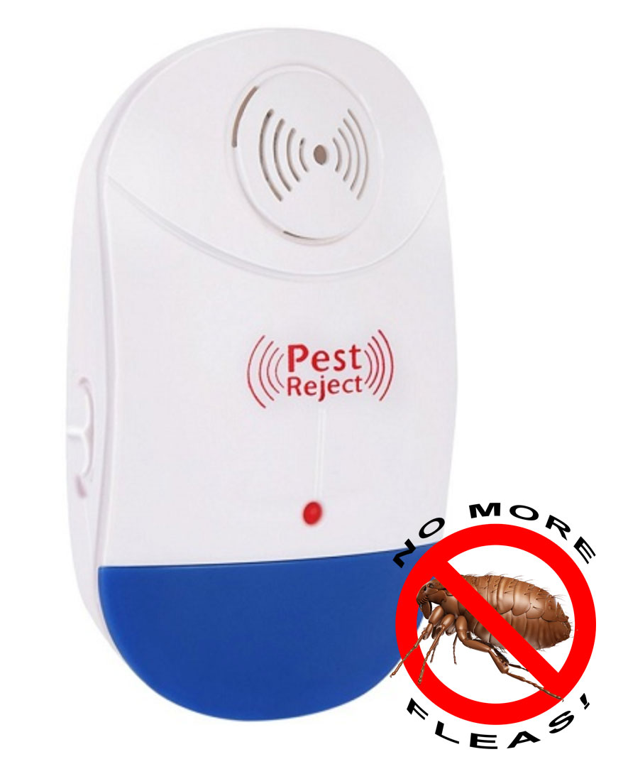 Best Flea Bomb (May 2024) – Buyer’s Guide and Reviews