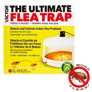 Victor M230A - Best ultimate flea trap