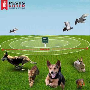 strongest ultrasonic dog repeller